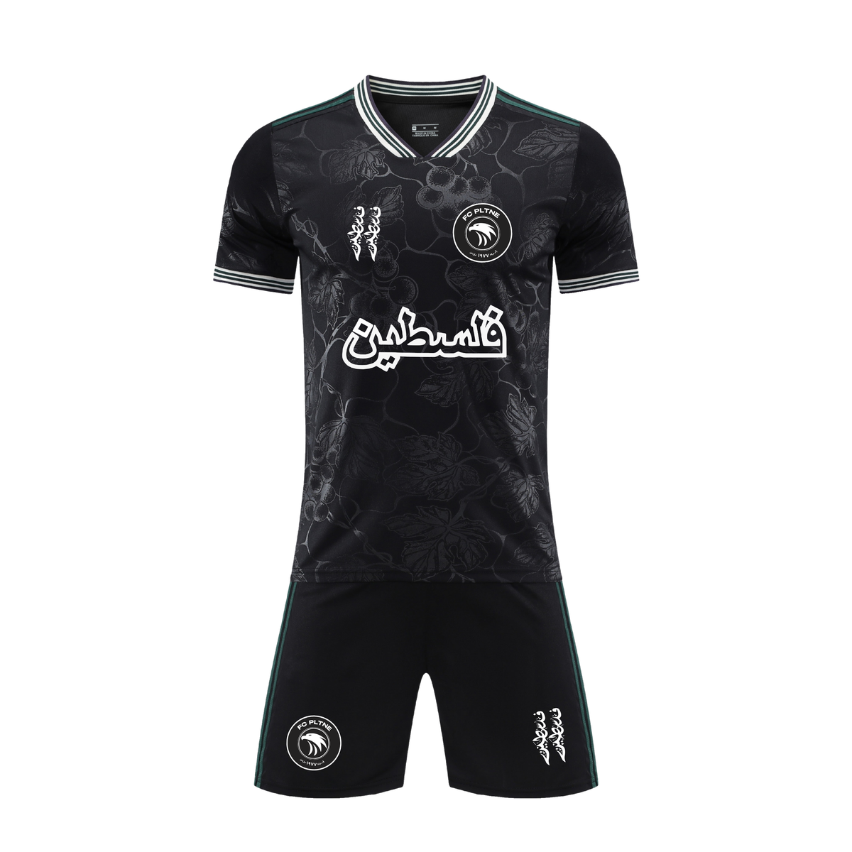 FC PLTNE – Onyx