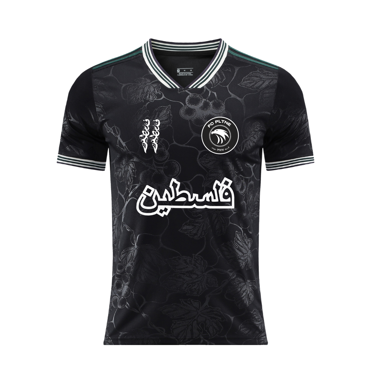 FC PLTNE – Onyx